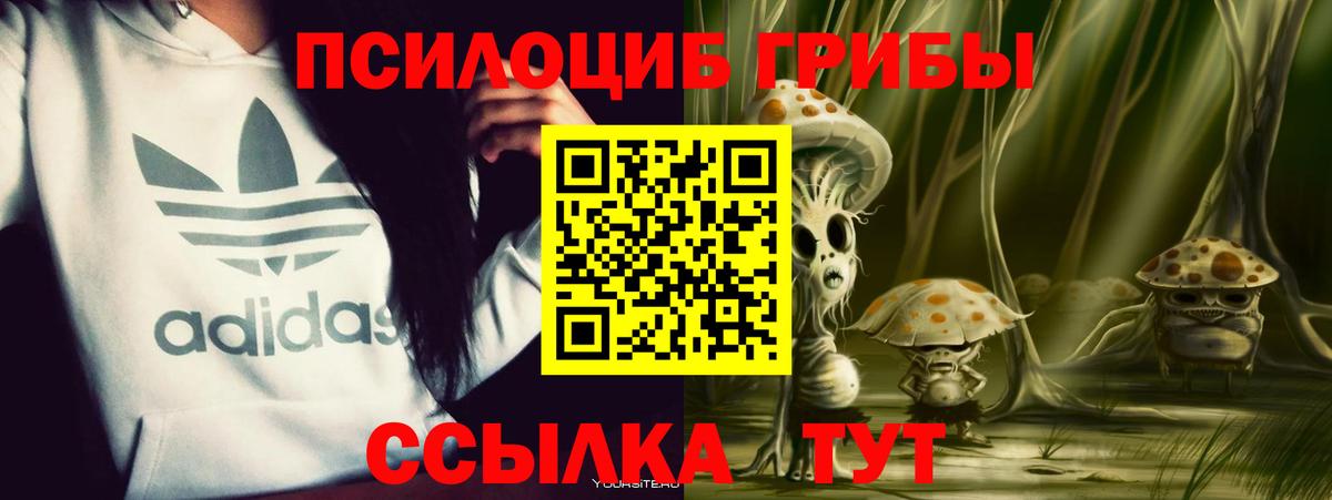 Лабинск  Галлюциногенные грибы MAGIC MUSHROOMS  Вход с VPN 